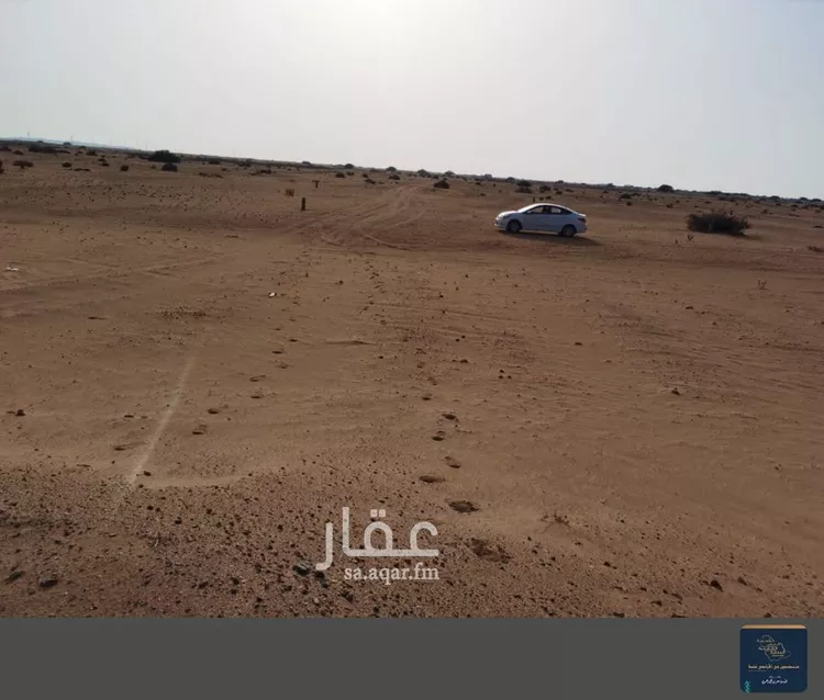 أرض للبيع في حي الوداد, مدينة جدة, منطقة مكة المكرمة 7