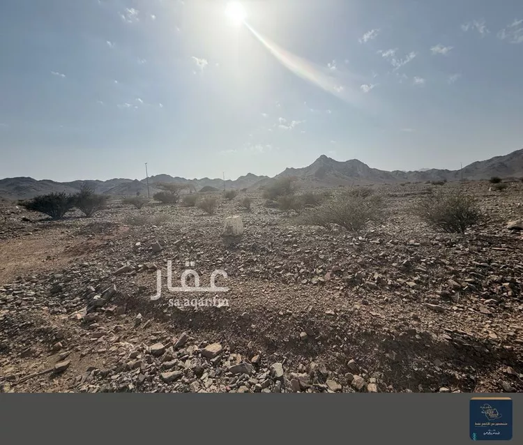 أرض للبيع في حي المندسة, مدينة المدينه المنوره, منطقة المدينة المنورة صورة 5