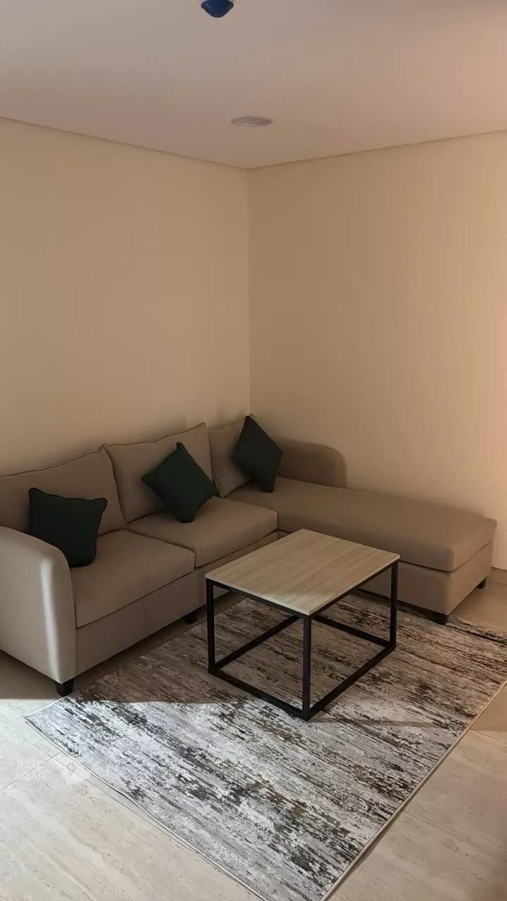 شقة للإيجار في شارع أبي بكر الرازي, حي السليمانية, مدينة الرياض, منطقة الرياض 19