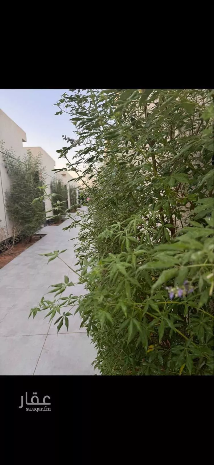 Chalet for Booking in Riyadh Ar Rimal صورة 3