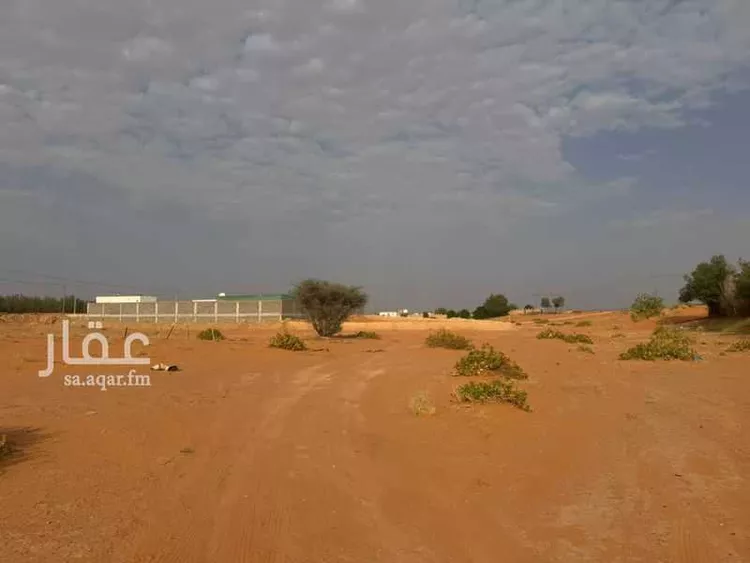 أرض للبيع في شارع زهرة الربيع, حي هجره الذيبيه وخضراء, مدينة هجره الذيبيه وخضراء, منطقة الرياض