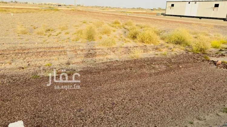 أرض للبيع في حي الحريضه, مدينة الحريضه, منطقة عسير صورة 3