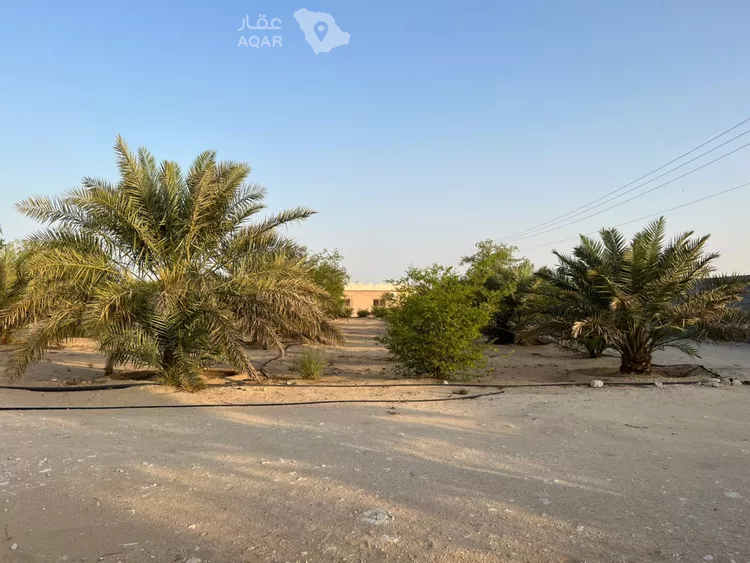 مزرعة للبيع في شارع ج6 10, حي صلاصل, مدينة بقيق, المنطقة الشرقية 7