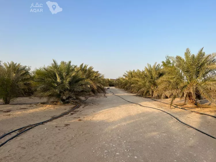 مزرعة للبيع في شارع ج6 10, حي صلاصل, مدينة بقيق, المنطقة الشرقية صورة 2