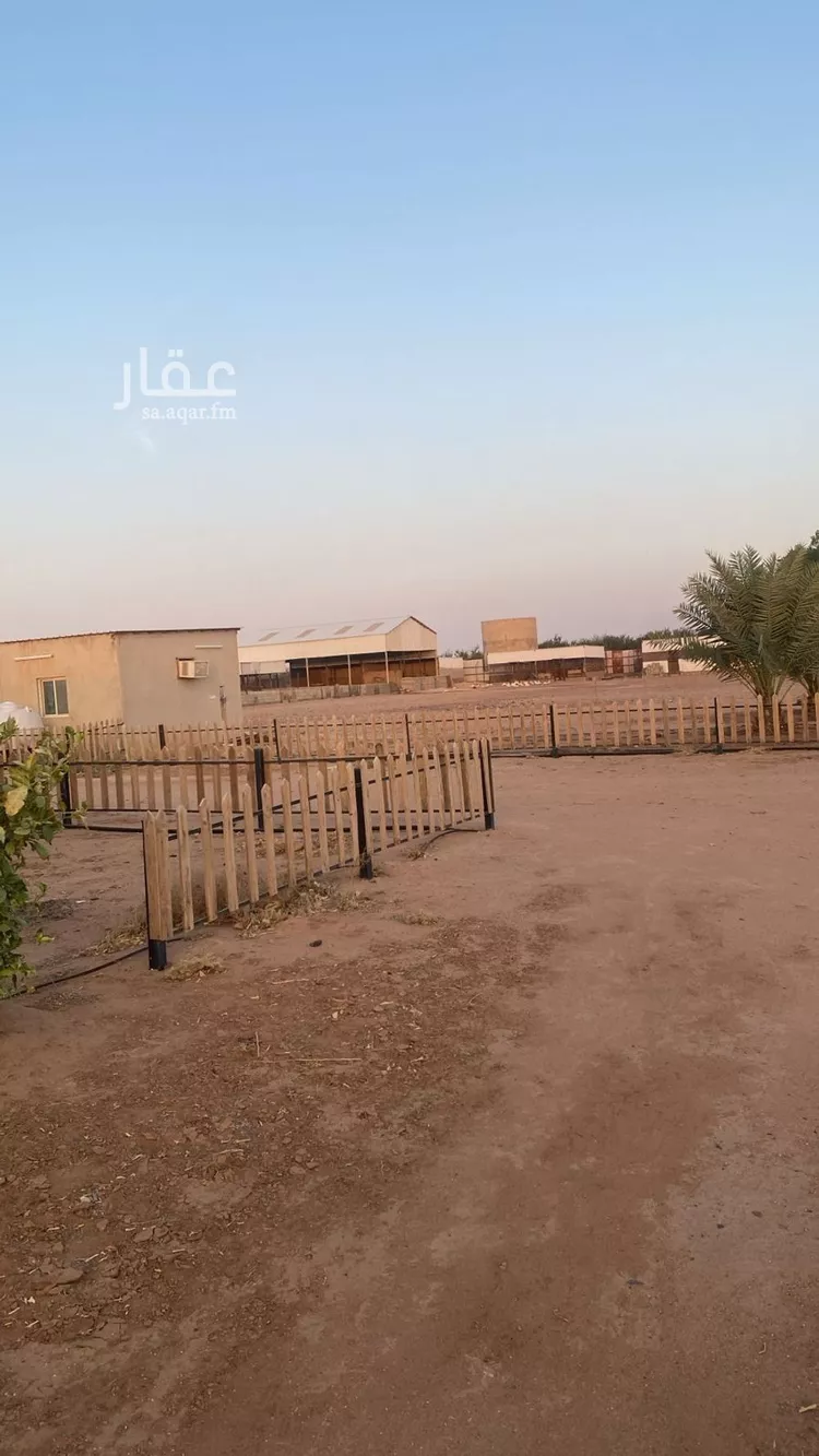 مزرعة للبيع في شارع لايوجد, حي مزارع برمه, مدينة مزارع برمه, منطقة الرياض صورة 2