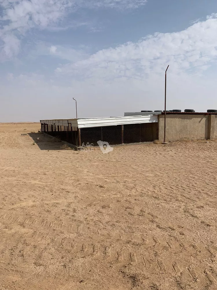 مزرعة للإيجار في شارع زراعي, حي الثامريه, مدينة القصيم - الثامريه, منطقة القصيم صورة 5