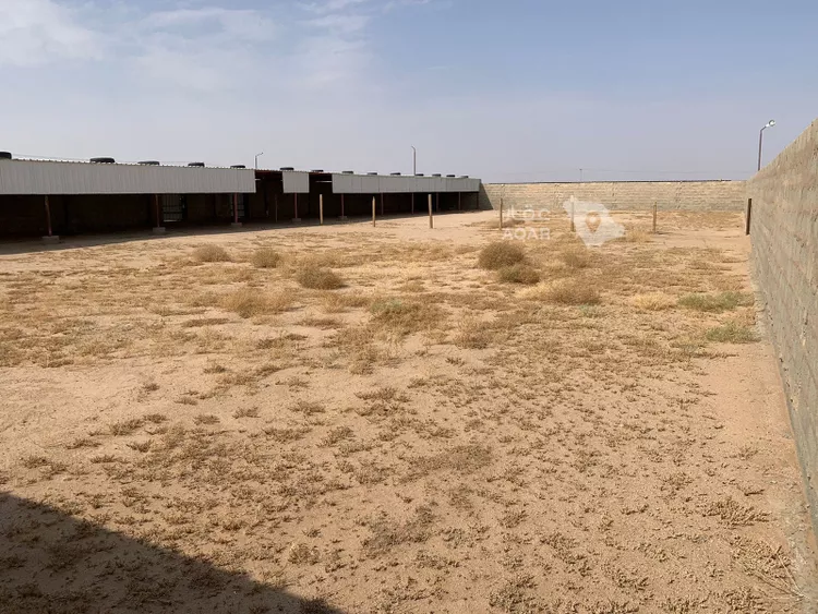 مزرعة للإيجار في شارع زراعي, حي الثامريه, مدينة القصيم - الثامريه, منطقة القصيم