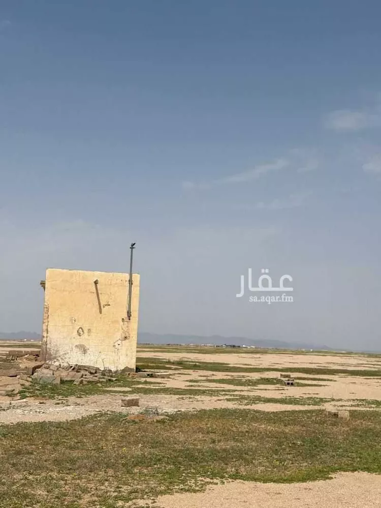 مزرعة للبيع في شارع شارع زراعي, حي الصويتيه, مدينة الصويتيه, منطقة القصيم صورة 5