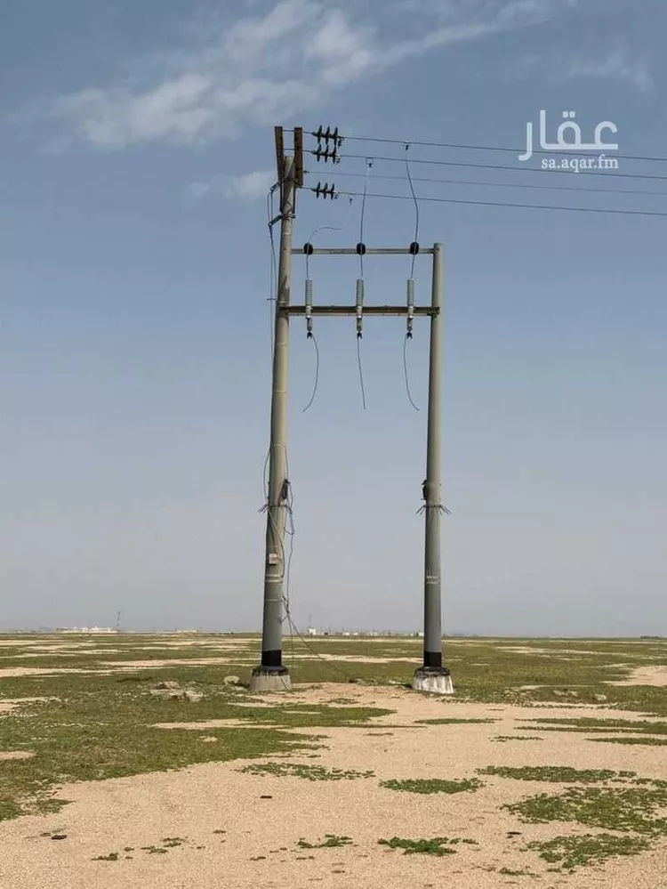 مزرعة للبيع في شارع شارع زراعي, حي الصويتيه, مدينة الصويتيه, منطقة القصيم صورة 3