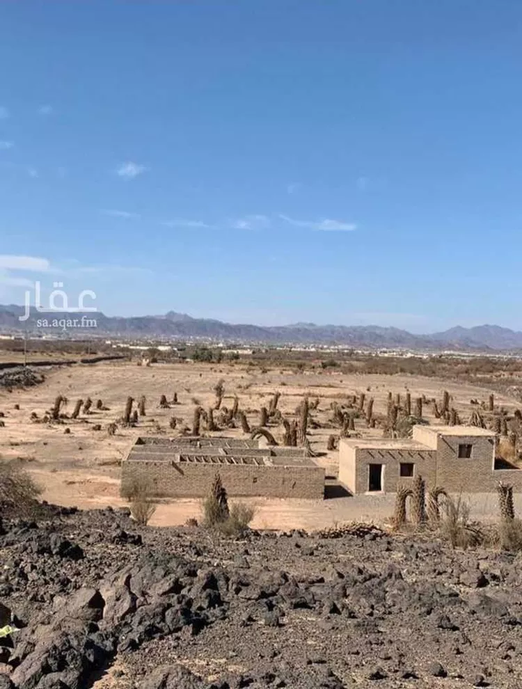 أرض للإيجار في شارع شارع زراعي, حي ابيار الماشي, مدينة المدينة المنورة, منطقة المدينة المنورة