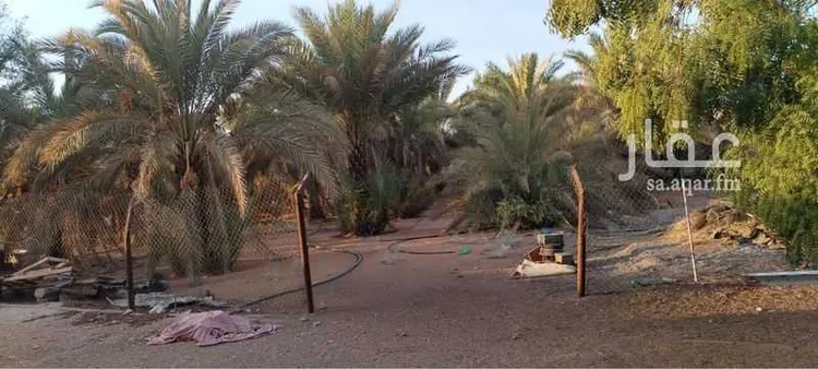 مزرعة للبيع في مدينة الرياض, منطقة الرياض صورة 5