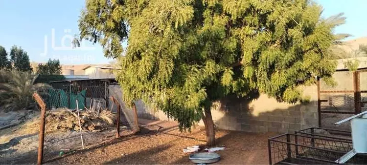 مزرعة للبيع في مدينة الرياض, منطقة الرياض صورة 4