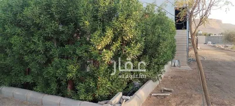 مزرعة للبيع في مدينة الرياض, منطقة الرياض صورة 3
