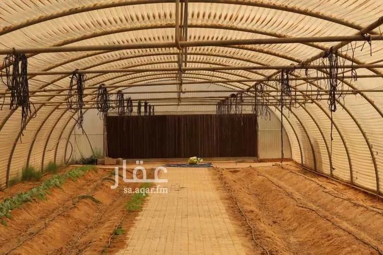 Farm for Sale in Thadiq Al Janadriyah صورة 2