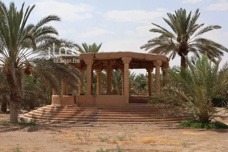 Farm for Sale in Thadiq Al Janadriyah صورة 3