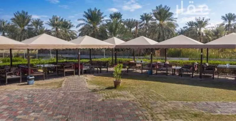 استراحة للإيجار في شارع 4162001, حي أحد2, مدينة الاحساء, المنطقة الشرقية 15