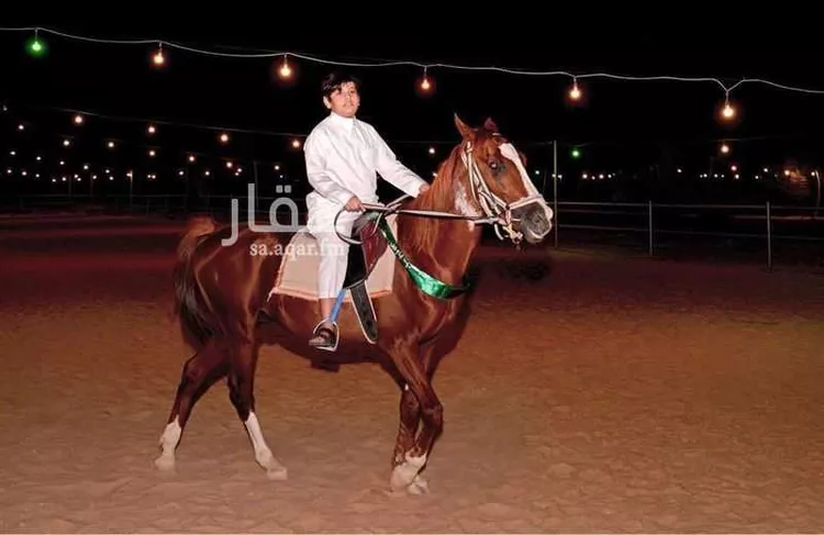 غرفة للإيجار في شارع 26042459, حي أحد2, مدينة الاحساء, المنطقة الشرقية 12