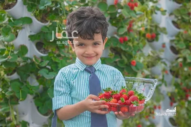غرفة للإيجار في شارع 26042459, حي أحد2, مدينة الاحساء, المنطقة الشرقية 13