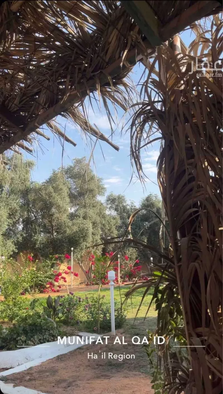 مزرعة للبيع في القاعد ، منطقة حائل صورة 4