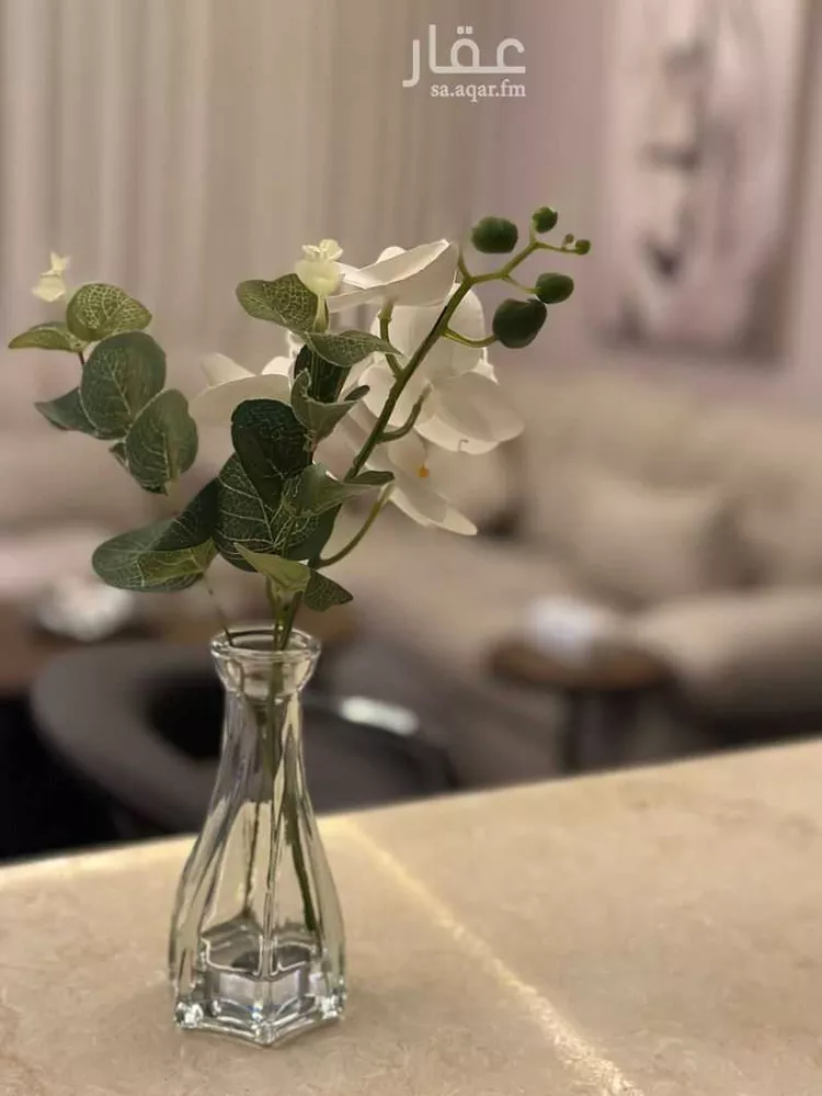 Furnished Apartment for Booking in Riyadh Ash Shuhada 12