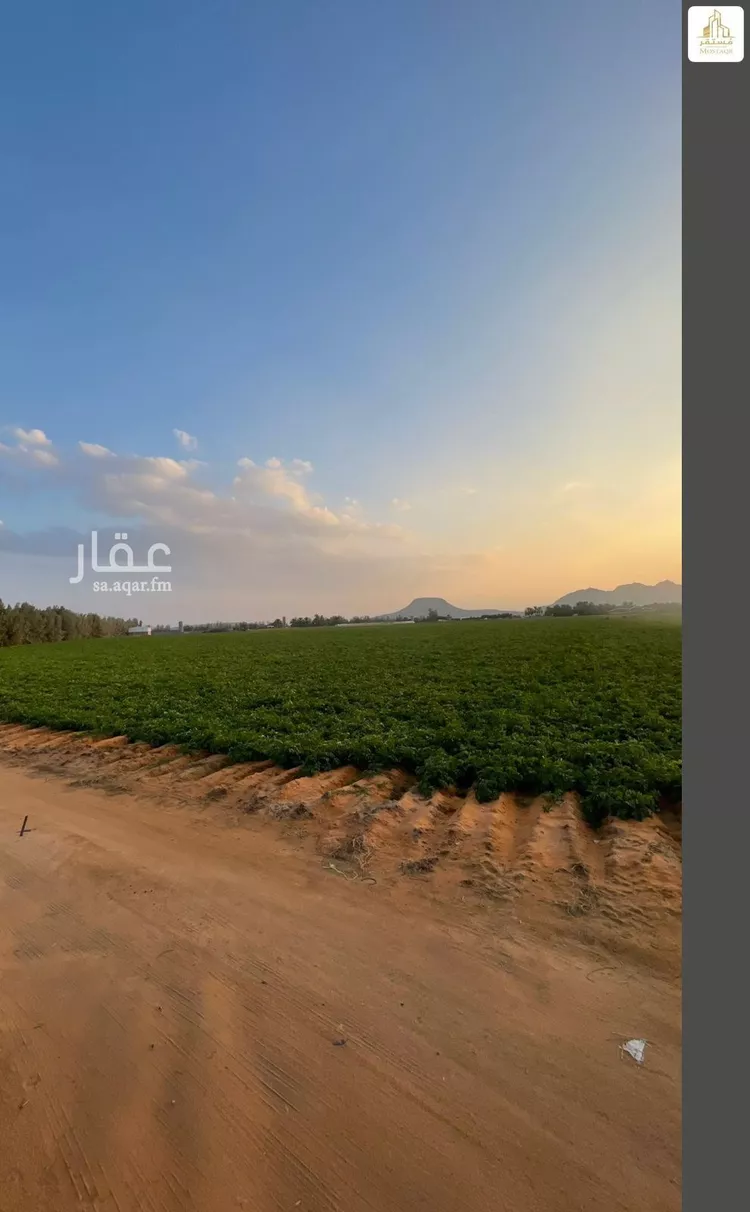مزرعة للبيع في شارع الزبير بن العوام, حي الخطة, مدينة الخطه, منطقة حائل صورة 2