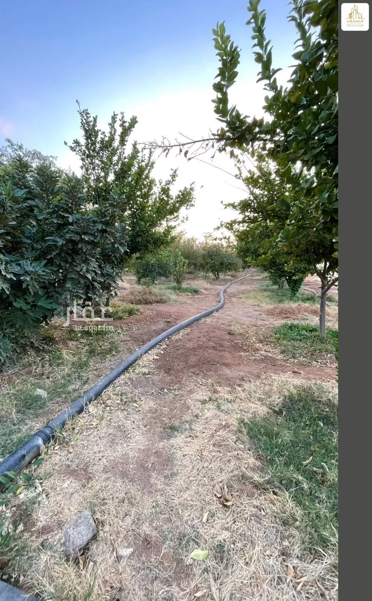 Farm for Sale in Hail An Nasim 12