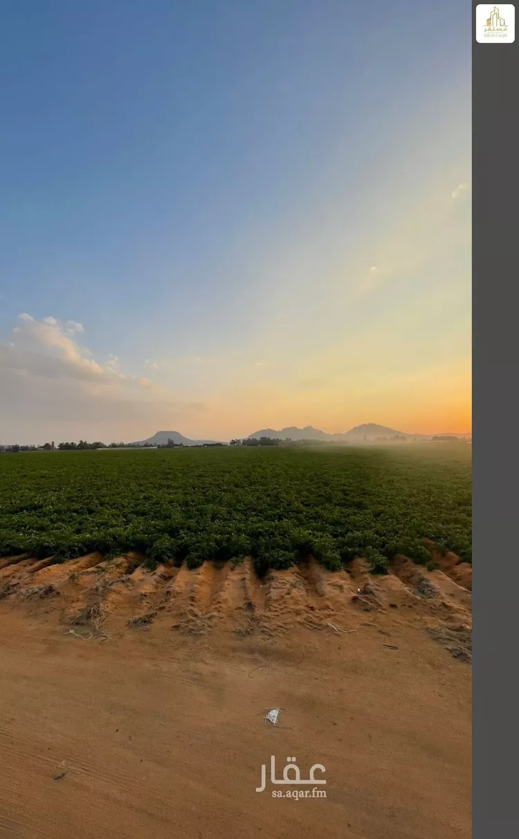 مزرعة للبيع في شارع الزبير بن العوام, حي الخطة, مدينة الخطه, منطقة حائل صورة 5