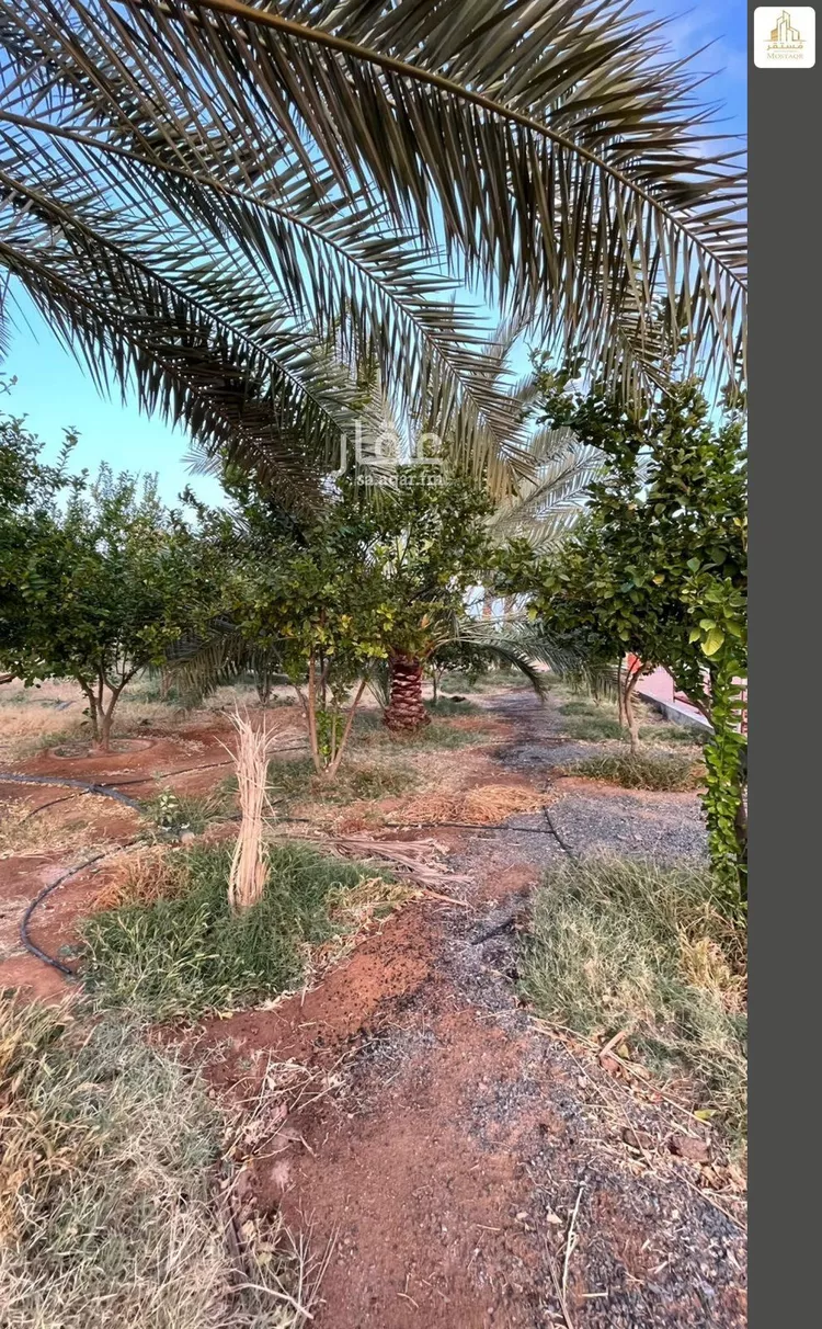 Farm for Sale in Hail An Nasim 13