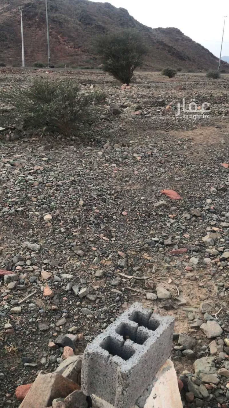 أرض للبيع في شارع المندسة 15, حي المندسة, مدينة المدينة المنورة, منطقة المدينة المنورة صورة 4