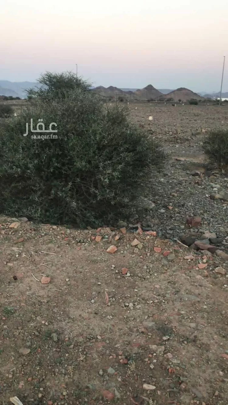 أرض للبيع في شارع المندسة 15, حي المندسة, مدينة المدينة المنورة, منطقة المدينة المنورة صورة 2