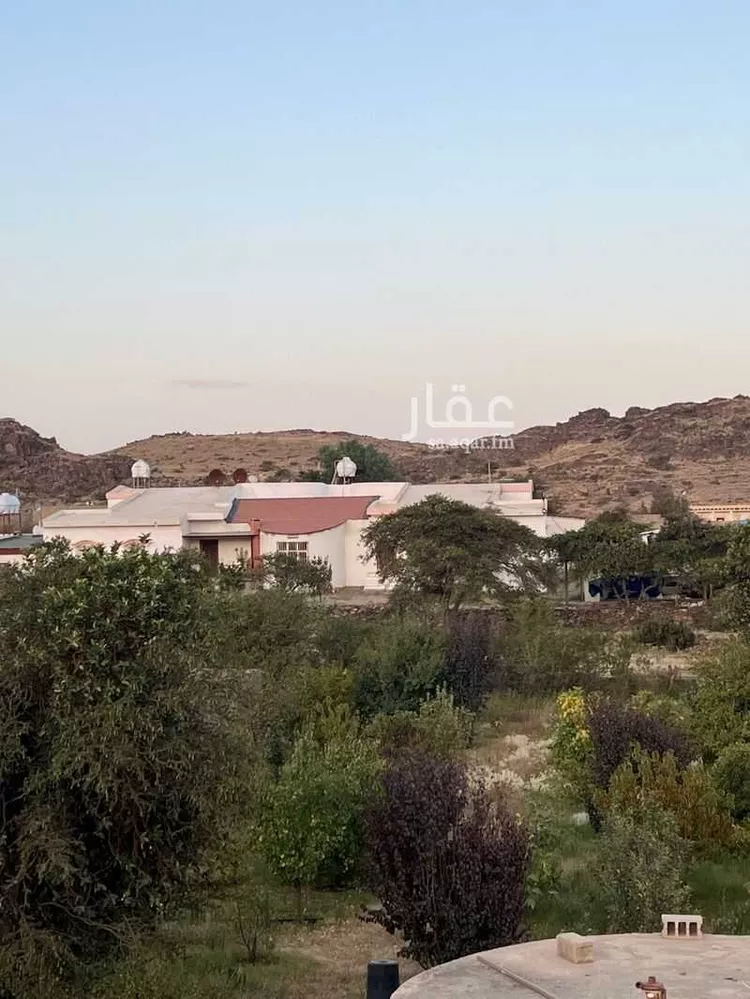 مزرعة للبيع في حي التعاون, مدينة ابها, منطقة عسير صورة 4