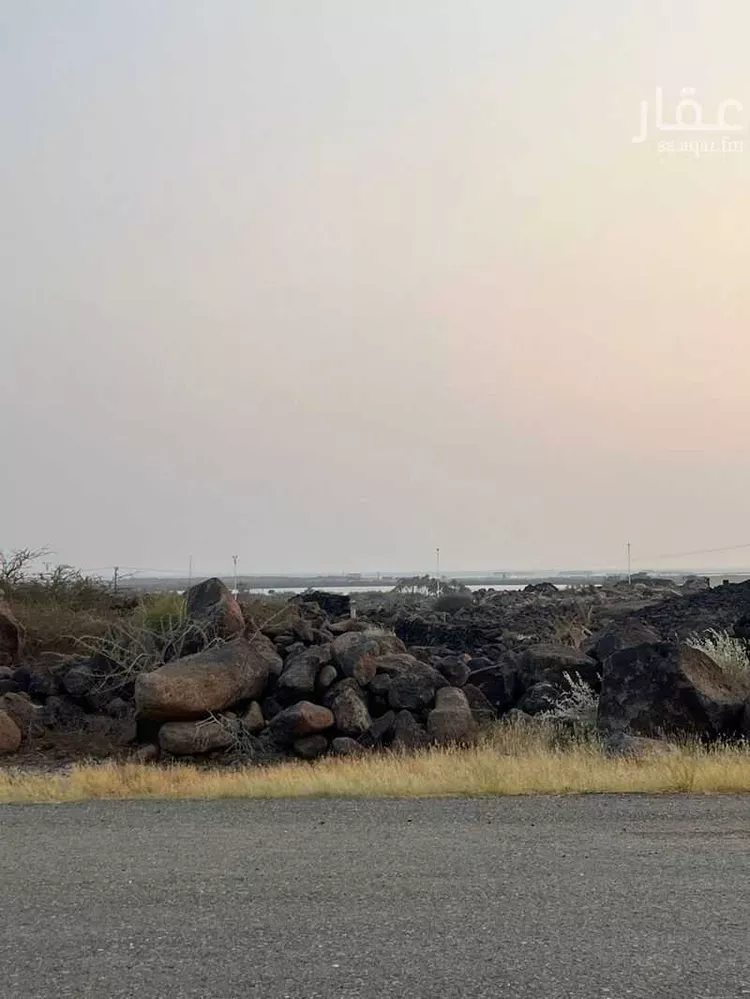 أرض للبيع في شارع الحريضه 333, مدينة العاين, منطقة عسير