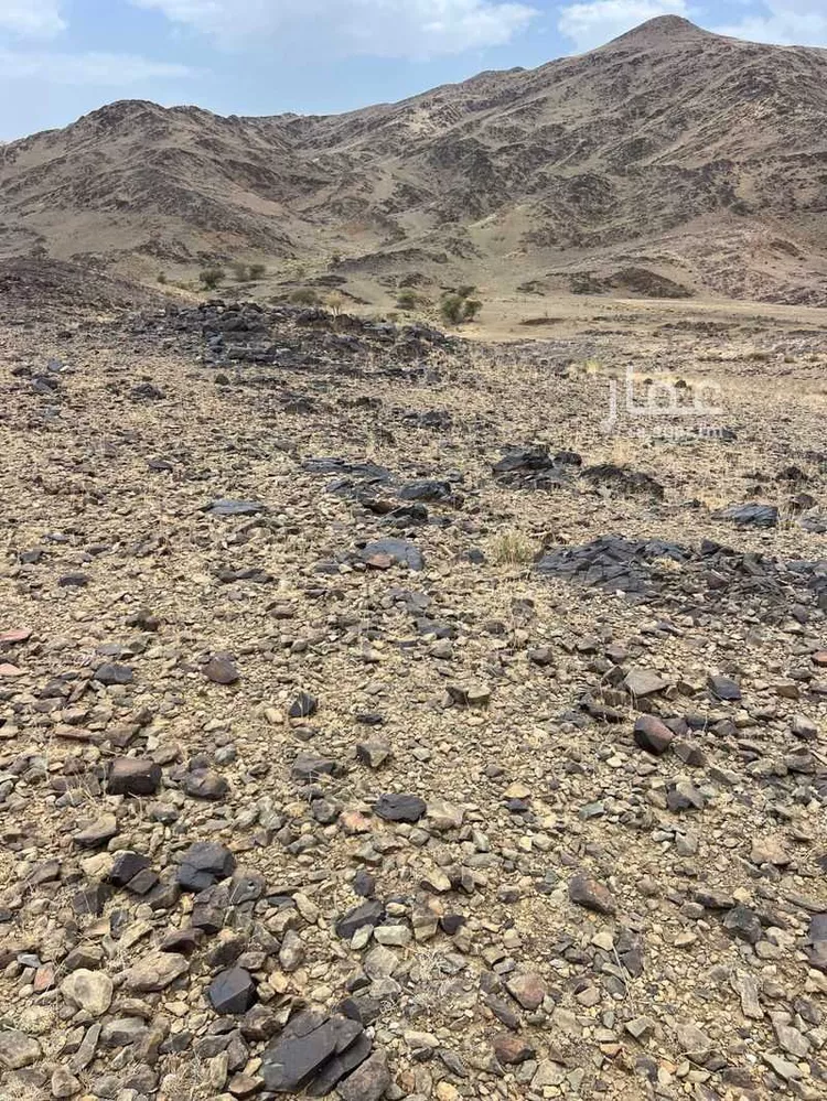 أرض للبيع في حي الزين, مدينة ابها, منطقة عسير صورة 2