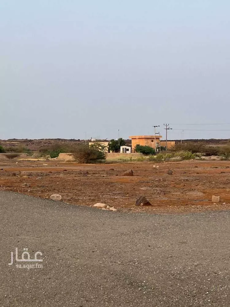 أرض للبيع في شارع الحريضه 333, مدينة العاين, منطقة عسير صورة 2
