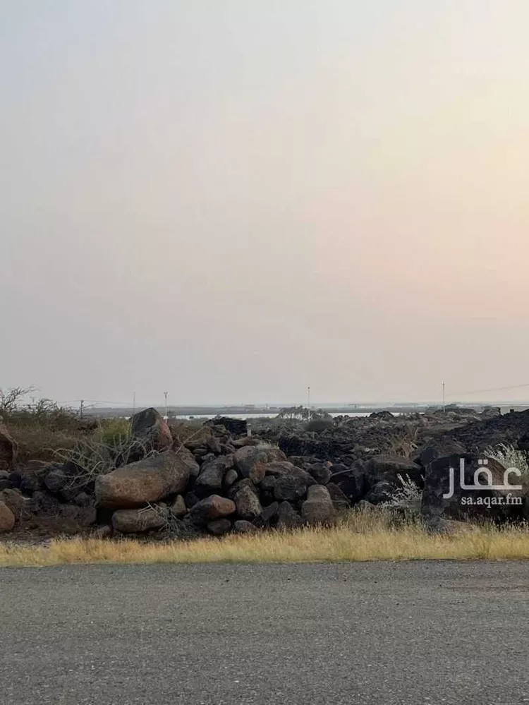 أرض للبيع في شارع الحريضه 333, مدينة العاين, منطقة عسير