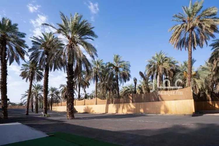 Land for Sale in Medina Al Jumuah 19