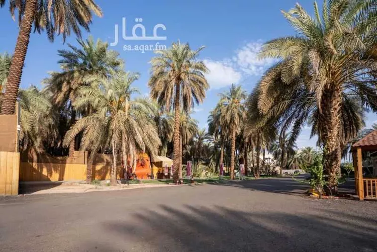 Land for Sale in Medina Al Jumuah 16