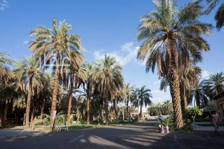 Land for Sale in Medina Al Jumuah 18