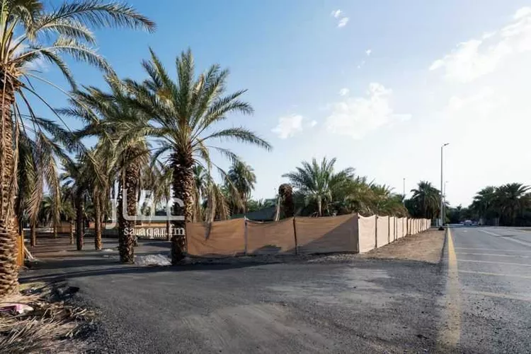 Land for Sale in Medina Al Jumuah 11
