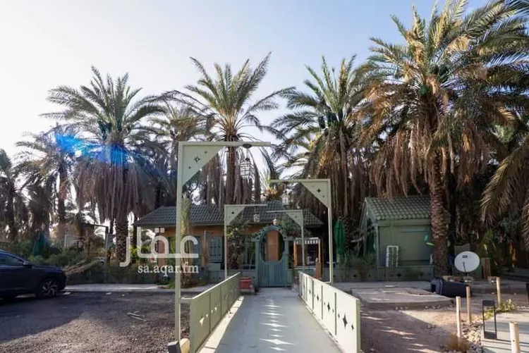 Land for Sale in Medina Al Jumuah 20