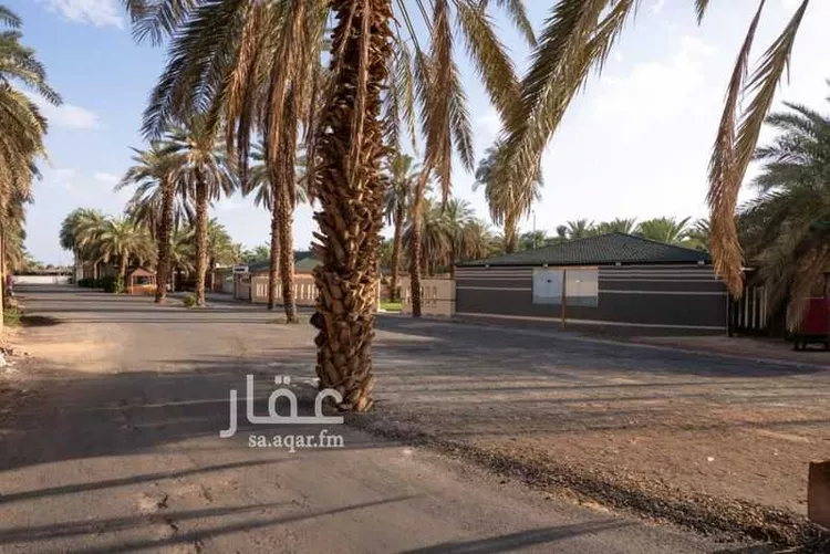 أرض للبيع في حي الجمعة, مدينة المدينة المنورة, منطقة المدينة المنورة صورة 2