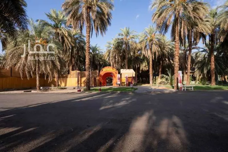أرض للبيع في حي الجمعة, مدينة المدينة المنورة, منطقة المدينة المنورة صورة 5