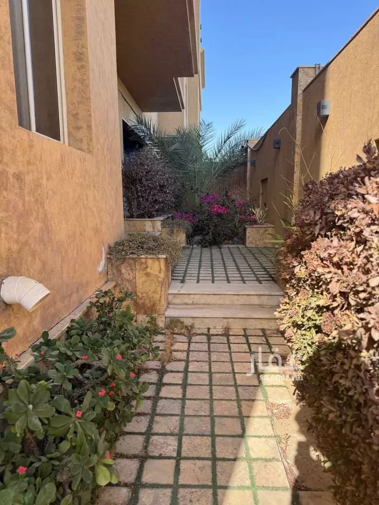 فيلا للإيجار في شارع 26142567, حي الشاطئ, مدينة جدة, منطقة مكة المكرمة