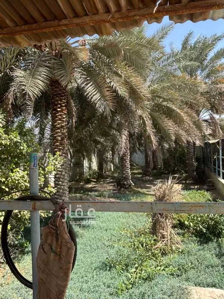 مزرعة للبيع في شارع ابو ايوب الانصاري ، حي العليا ، المبرز ، الاحساء