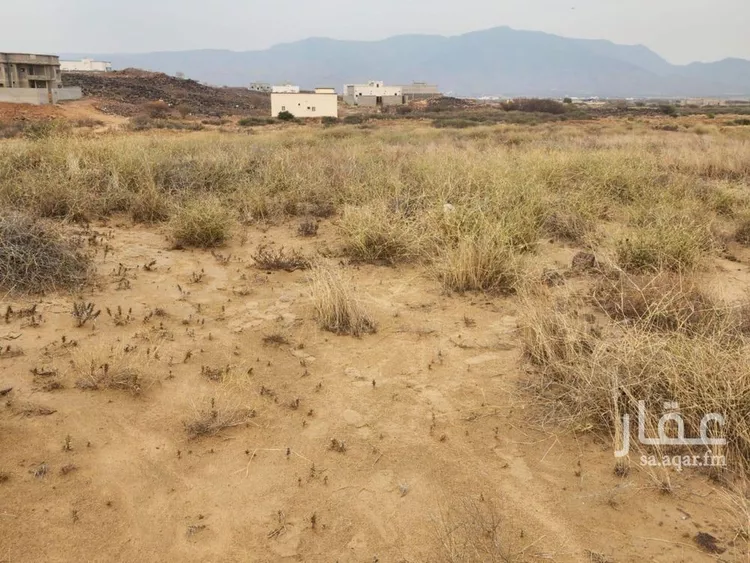 أرض للبيع في حي لحج الكلاب, مدينة لحج الكلاب, منطقة جازان صورة 3