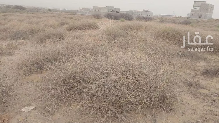 أرض للبيع في حي لحج الكلاب, مدينة لحج الكلاب, منطقة جازان