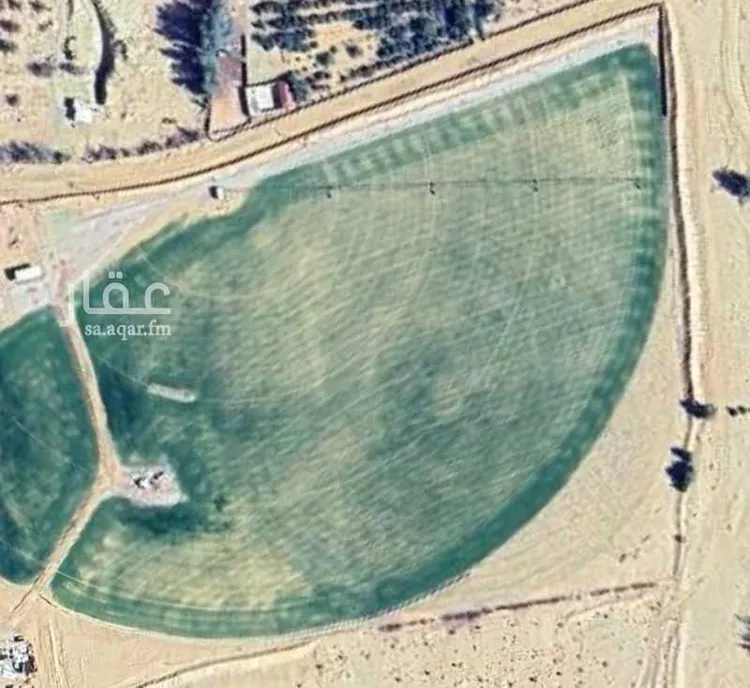 مزرعة للبيع في مدينة دمج, منطقة تبوك