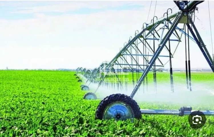 مزرعة للبيع في حي مزارع فقيه والمزارع المجاوره, مدينة مزارع فقيه والمزارع المجاوره, منطقة تبوك