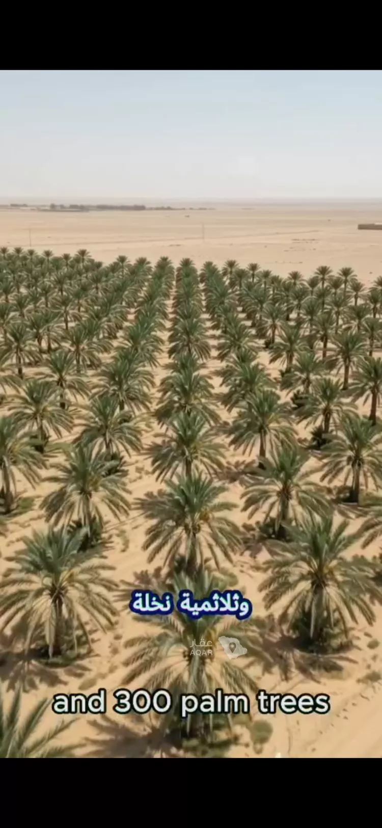 Farm for Sale in AlShinana Al Aziziyah