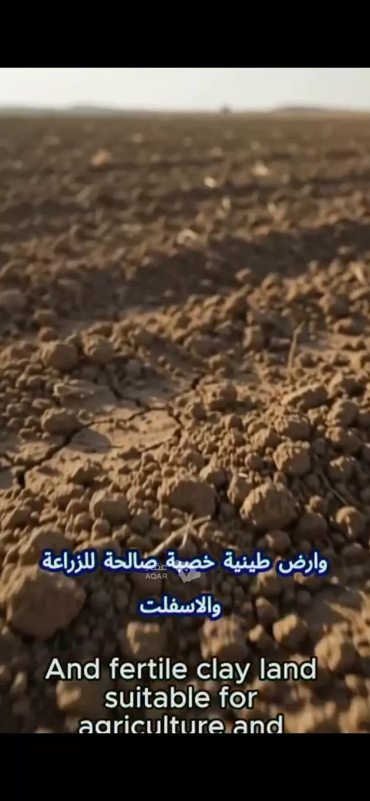 مزرعة للبيع في شارع الهرانيات, حي الودى, مدينة ودي الحزم   الودي, منطقة حائل 16